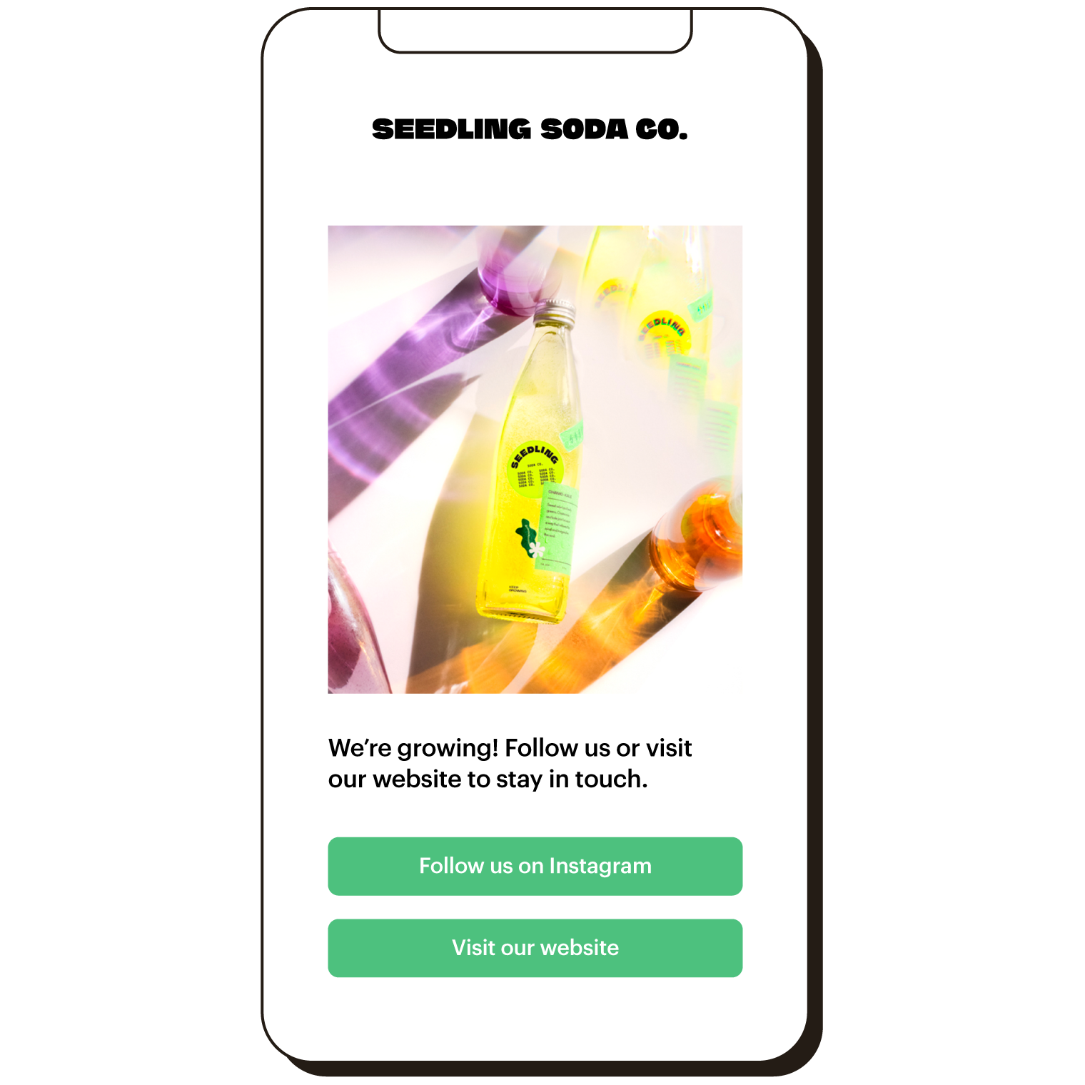 A mobile landing page for Seedling Soda Co. Image with links to follow on Instagram or visit the website.