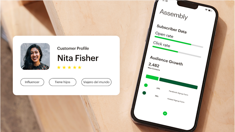 La aplicación Mailchimp con métricas detalladas del público, como la tasa de apertura y de clics, junto a una tarjeta de perfil del cliente.