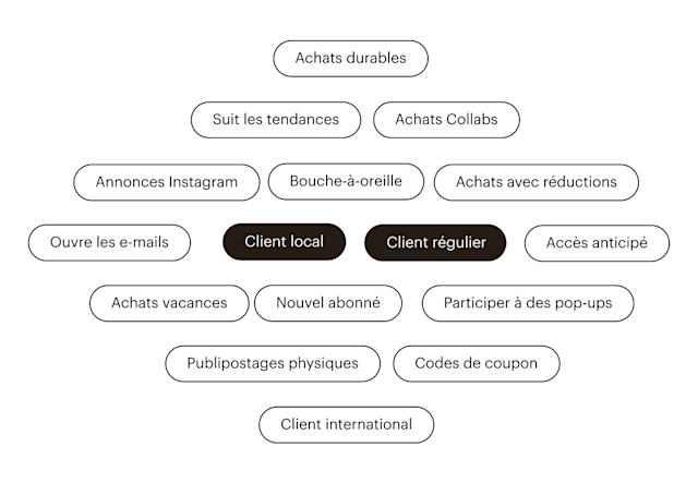 Une variété d'exemples de segments pouvant être ciblés avec les campagnes Mailchimp, comme "Client local" et "Client régulier".